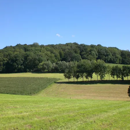 Stunning Near Forest In * Slenaken