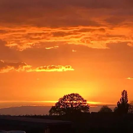 Stunning Near Forest In *