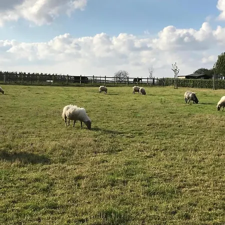Stunning Near Forest In Prázdninový dům Slenaken