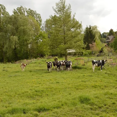 Stunning Near Forest In Slenaken