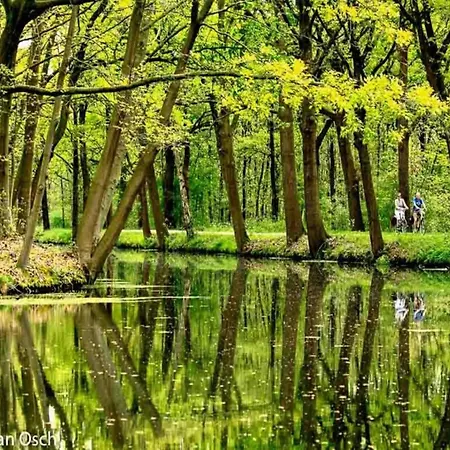 Stunning Near Forest In