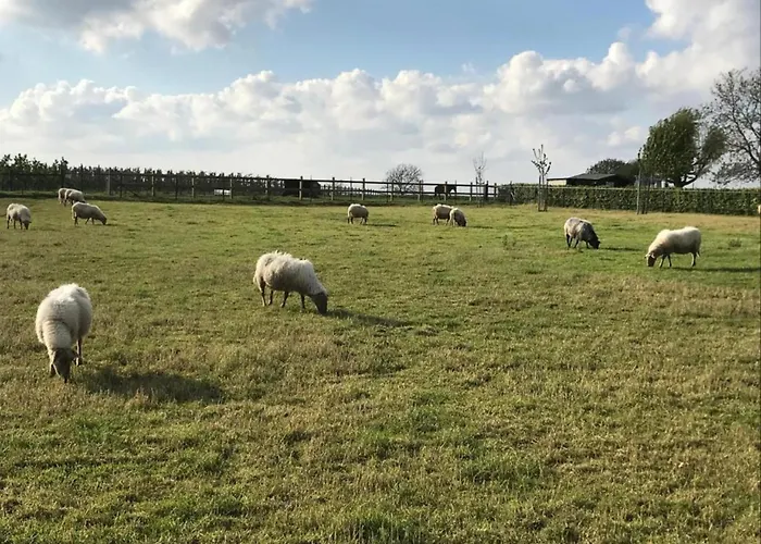 Stunning Near Forest In Дом отдыха Сленакен