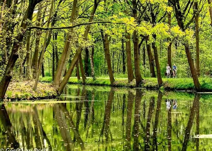 Stunning Near Forest In