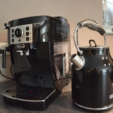 Stunning Near Forest In