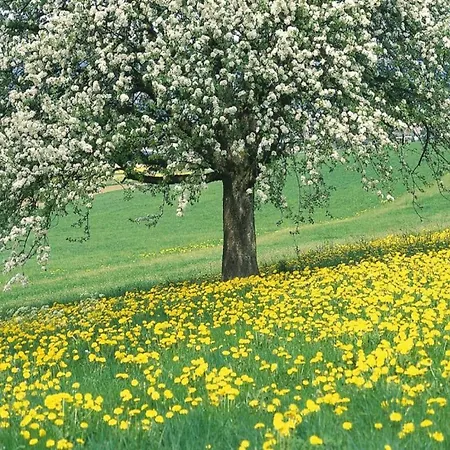 Semesterbostad Stunning Near Forest In Slenaken