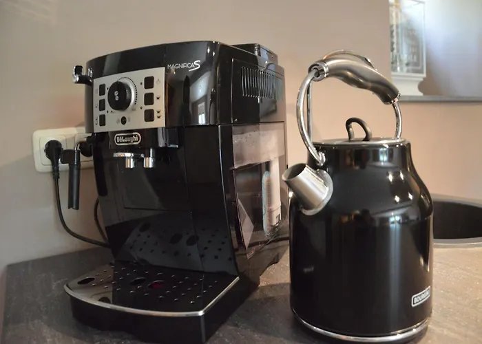 Stunning Near Forest In