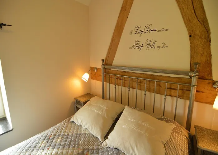 Stunning Near Forest In