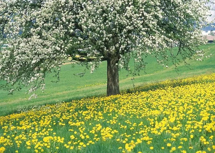 بيت للعطل Stunning Near Forest In سليناكين