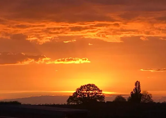 Stunning Near Forest In *