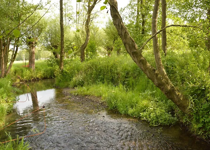 Stunning Near Forest In سليناكين