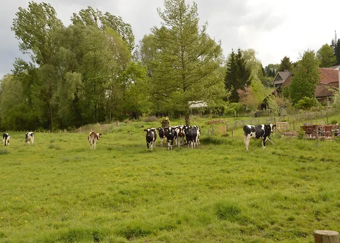 Stunning Near Forest In سليناكين